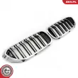 Grille de radiateur ESEN SKV 66SKV196 - Visuel 2