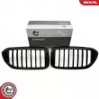 Grille de radiateur ESEN SKV 66SKV199 - Visuel 1