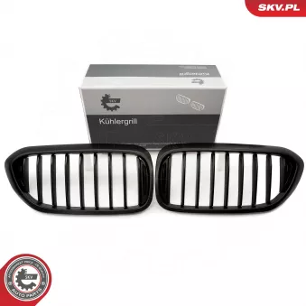 Grille de radiateur ESEN SKV 66SKV199
