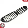 Grille de radiateur ESEN SKV 66SKV199 - Visuel 2