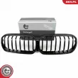 Grille de radiateur ESEN SKV 66SKV201 - Visuel 1