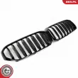 Grille de radiateur ESEN SKV 66SKV201 - Visuel 3