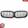 Grille de radiateur ESEN SKV 66SKV202 - Visuel 2