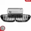 Grille de radiateur ESEN SKV 66SKV221 - Visuel 1