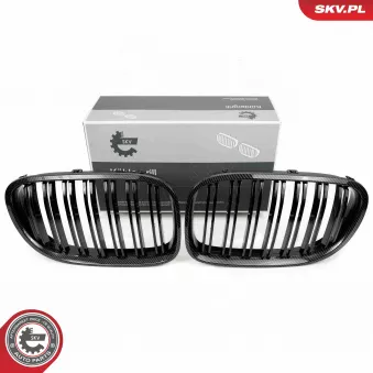 Grille de radiateur ESEN SKV 66SKV221