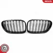 Grille de radiateur ESEN SKV 66SKV221 - Visuel 2
