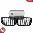 Grille de radiateur ESEN SKV 66SKV223 - Visuel 1