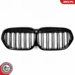 Grille de radiateur ESEN SKV 66SKV243 - Visuel 2