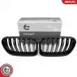 Grille de radiateur ESEN SKV 66SKV253 - Visuel 1