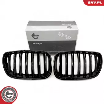 Grille de radiateur ESEN SKV 66SKV276