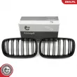 Grille de radiateur ESEN SKV 66SKV288 - Visuel 1