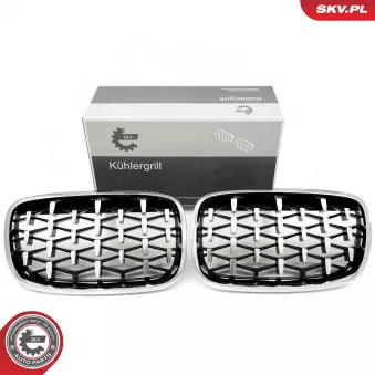 Grille de radiateur ESEN SKV 66SKV293