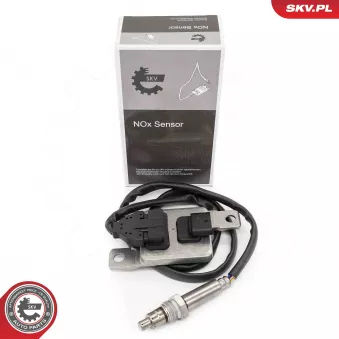 Capteur NOx, Catalyseur NOx ESEN SKV 71SKV042