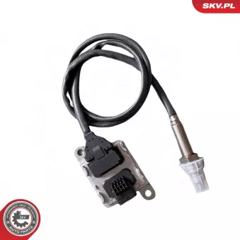 Capteur NOx, Catalyseur NOx ESEN SKV