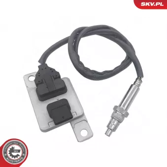 Capteur NOx, Catalyseur NOx ESEN SKV