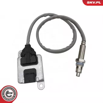 Capteur NOx, Catalyseur NOx ESEN SKV