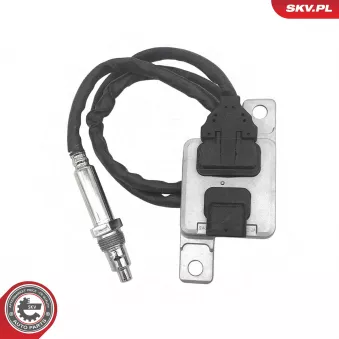 Capteur NOx, Catalyseur NOx ESEN SKV