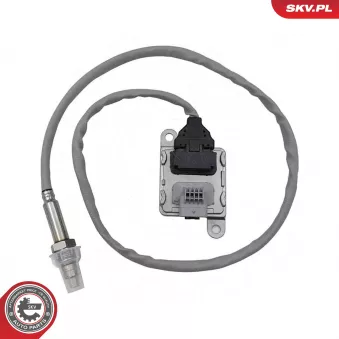 Capteur NOx, Catalyseur NOx ESEN SKV
