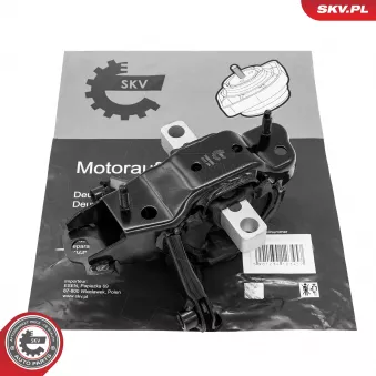 Support moteur ESEN SKV 75SKV054