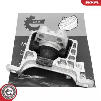 Support moteur ESEN SKV 75SKV320