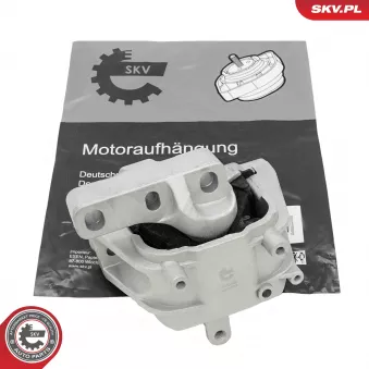 Support moteur ESEN SKV