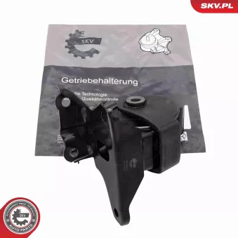 Suspension, boîte de vitesse manuelle ESEN SKV 75SKV805