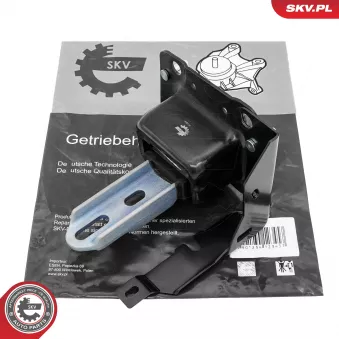 Suspension, boîte automatique ESEN SKV