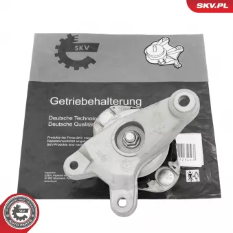 Suspension, boîte de vitesse manuelle ESEN SKV 75SKV838