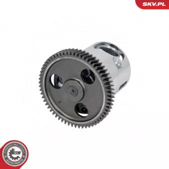 Pompe à huile ESEN SKV