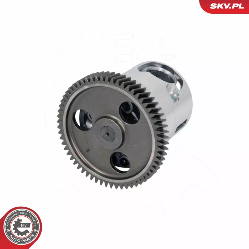 Pompe à huile ESEN SKV 77SKV004