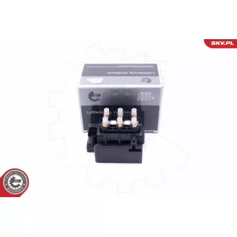 Valve, système d'air comprimé ESEN SKV