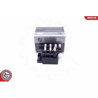 Valve, système d'air comprimé ESEN SKV