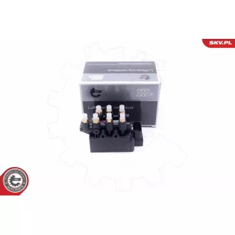 Valve, système d'air comprimé ESEN SKV 93SKV812