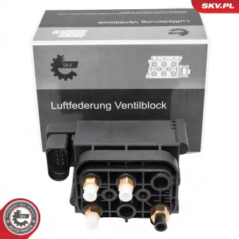 Valve, système d'air comprimé ESEN SKV