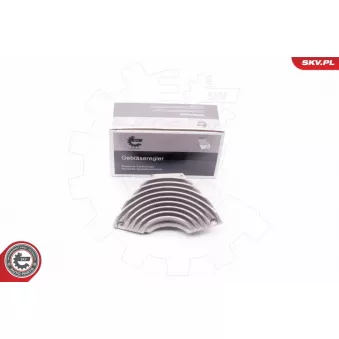 Résistance, pulseur d'air habitacle ESEN SKV 94SKV020