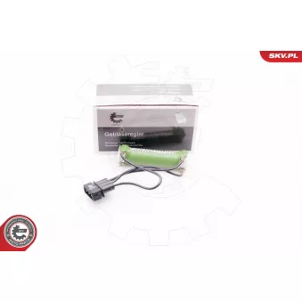 Résistance, pulseur d'air habitacle ESEN SKV 94SKV033