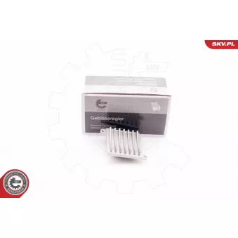 Résistance, pulseur d'air habitacle ESEN SKV 94SKV045