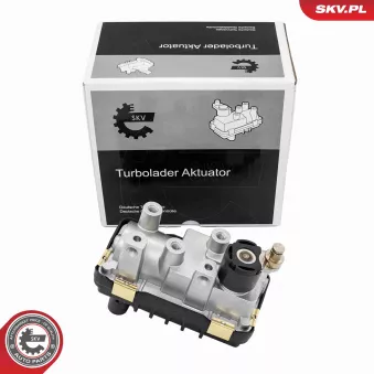 Détendeur de suralimentation ESEN SKV 95SKV464