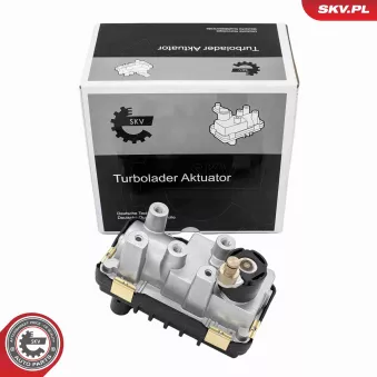 Détendeur de suralimentation ESEN SKV 95SKV469