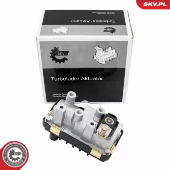 Détendeur de suralimentation ESEN SKV