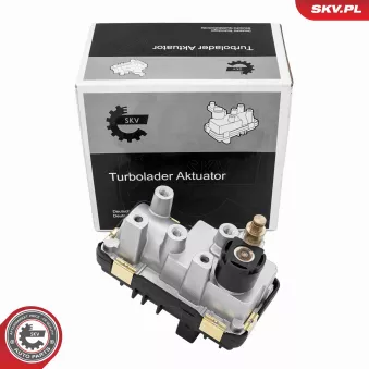 Détendeur de suralimentation ESEN SKV 95SKV489