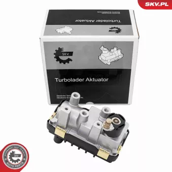 Détendeur de suralimentation ESEN SKV 95SKV491