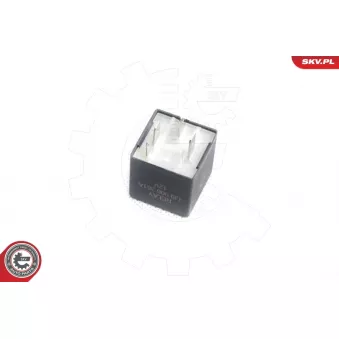 Relais, pompe à carburant ESEN SKV