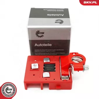 Adaptateur de batterie ESEN SKV 96SKV015