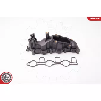 Module de tube d'admission ESEN SKV 96SKV017