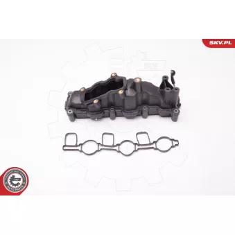 Module de tube d'admission ESEN SKV 96SKV018