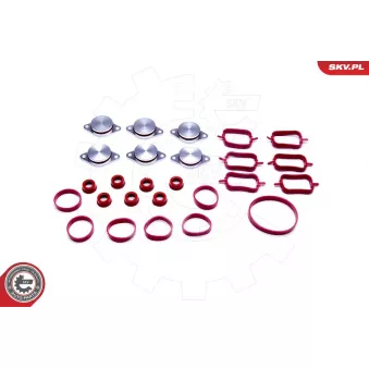 Jeu de joints d'étanchéité, collecteur d'admission ESEN SKV