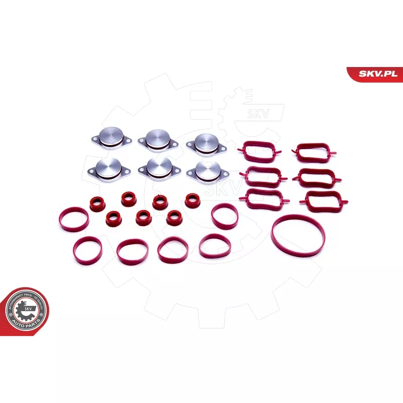 Jeu de joints d'étanchéité, collecteur d'admission ESEN SKV 96SKV045