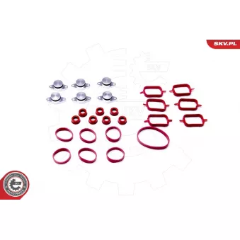 Jeu de joints d'étanchéité, collecteur d'admission ESEN SKV