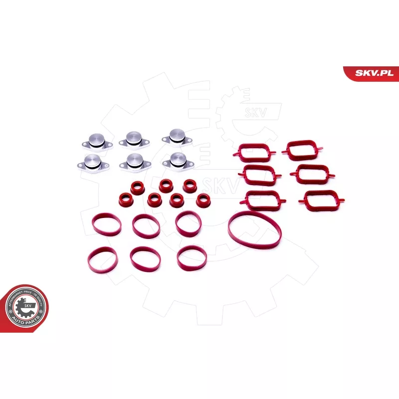 Jeu de joints d'étanchéité, collecteur d'admission ESEN SKV 96SKV052